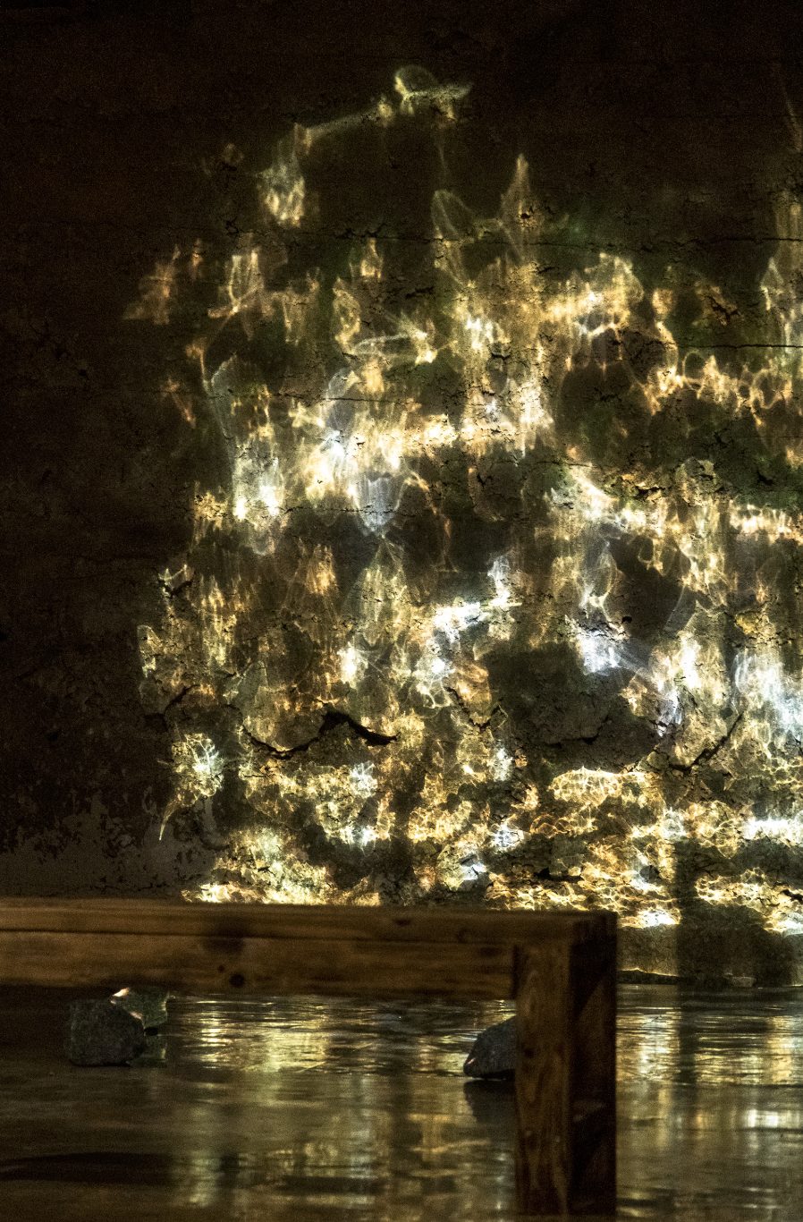 Fleeting Reflections