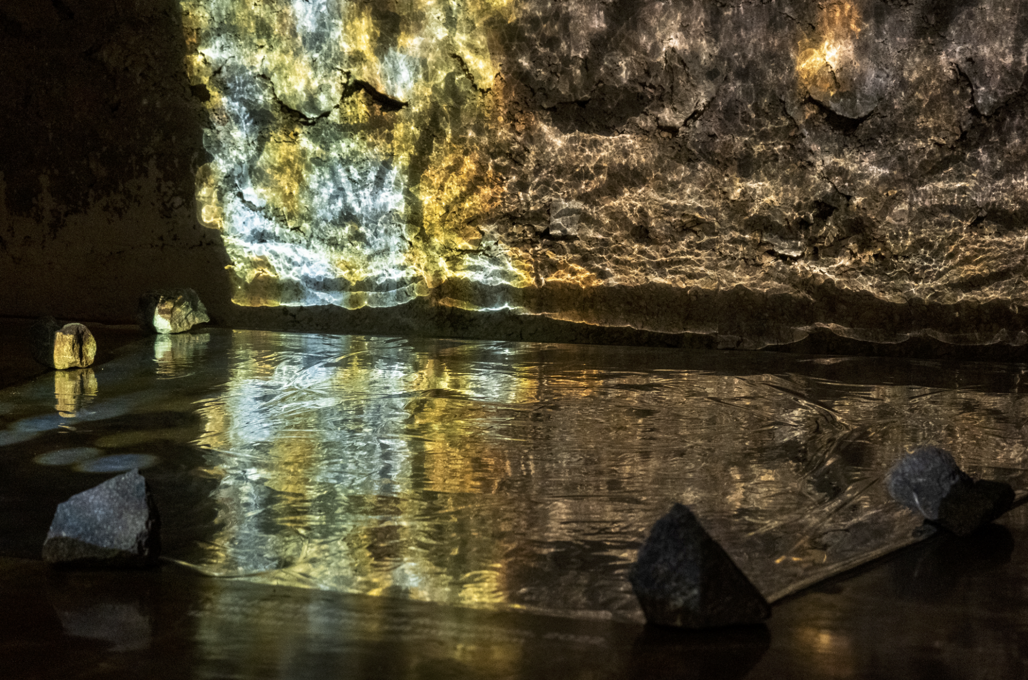 Fleeting Reflections